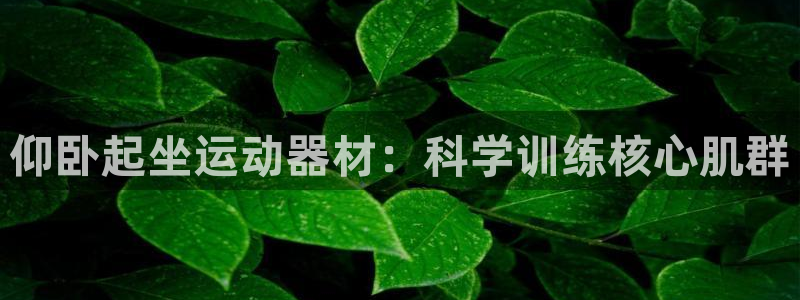 凯捷体育招商电话地址是多少：仰卧起坐运动器材：科学训练核心肌