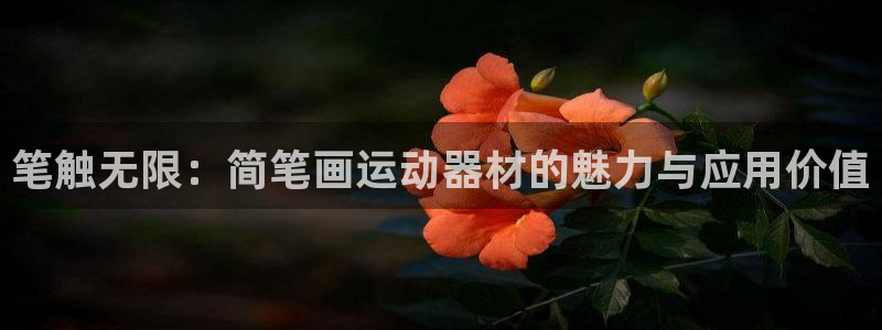 凯捷体育招商：笔触无限：简笔画运动器材的魅力与应用价值