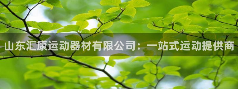 凯捷体育平台：山东汇康运动器材有限公司：一站式运动提