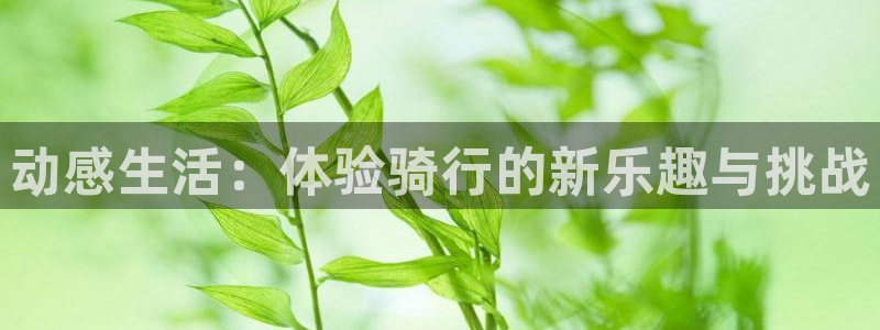 凯捷体育娱乐：动感生活：体验骑行的新乐趣与挑战