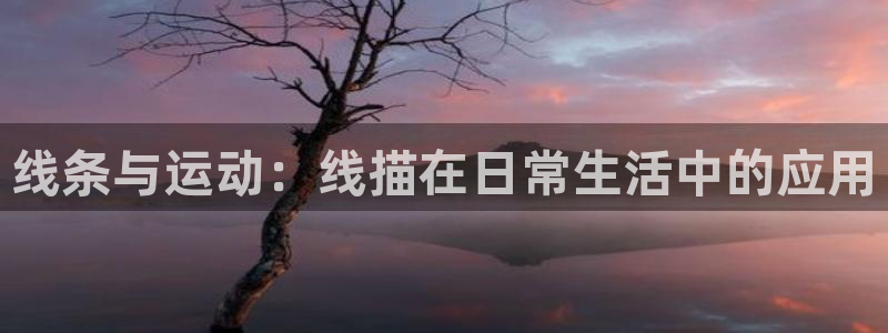 凯捷体育官方：线条与运动：线描在日常生活中的应用