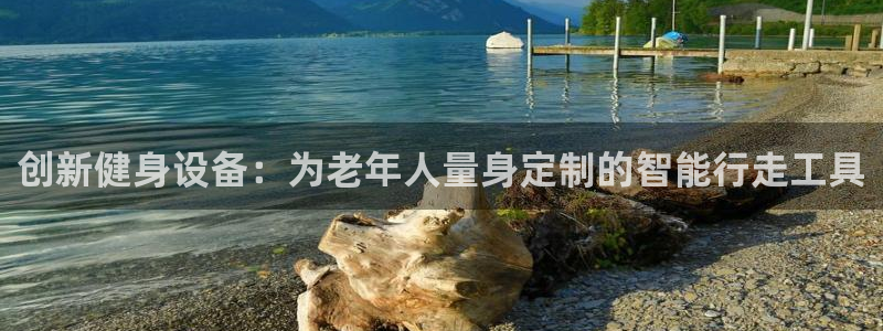 凯捷体育平台：创新健身设备：为老年人量身定制的智能行走工具