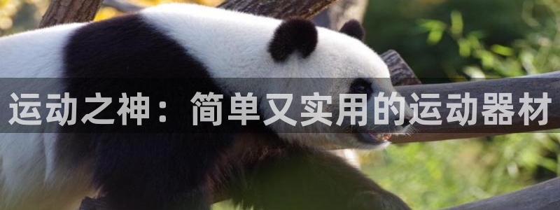 凯捷体育联系电话：运动之神：简单又实用的运动器材