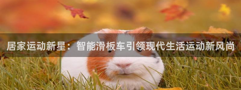 凯捷体育招商电话是多少号码：居家运动新星：智能滑板车