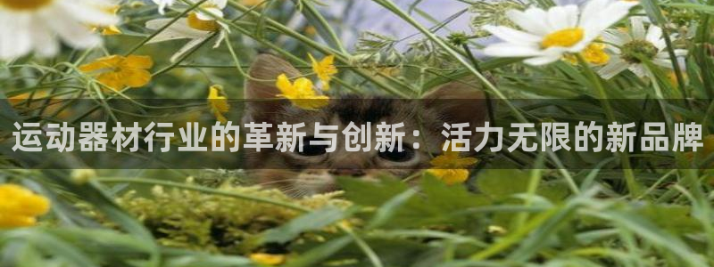 凯捷体育招商电话号码是多少号：运动器材行业的革新与创