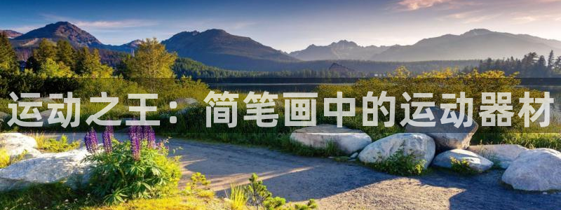 凯捷体育娱乐首页网站大全：运动之王：简笔画中的运动器