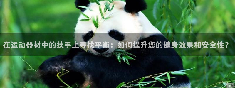 凯捷体育集团：在运动器材中的扶手上寻找平衡：如何提升您的健身