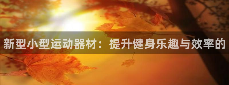 凯捷体育开户：新型小型运动器材：提升健身乐趣与效率的