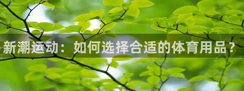 凯捷体育娱乐平台：新潮运动：如何选择合适的体育用品？