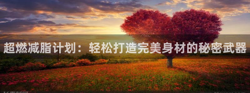 凯捷体育官方客服电话