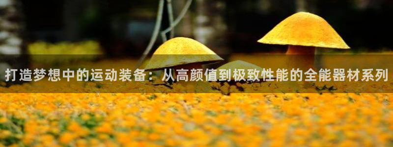 凯捷体育招商：打造梦想中的运动装备：从高颜值到极致性