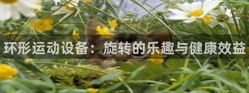 凯捷体育娱乐是那个系列的台子