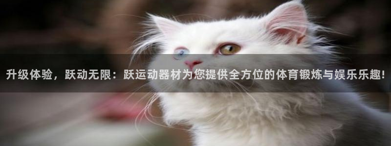 凯捷体育平台假的吗是真的吗吗：升级体验，跃动无限：跃