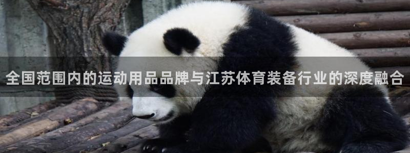 凯捷体育娱乐