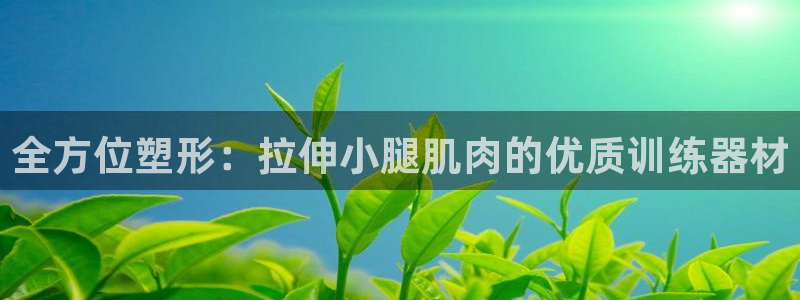 凯捷体育集团：全方位塑形：拉伸小腿肌肉的优质训练器材