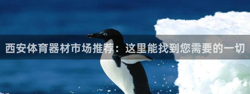 凯捷体育招商电话号码查询是多少：西安体育器材市场推荐