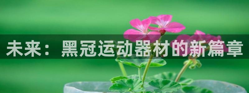 凯捷体育五金厂
