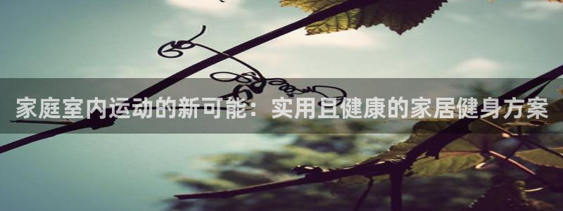 凯捷体育官方客服电话：家庭室内运动的新可能：实用且健康的家居