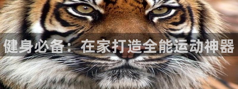 凯捷体育娱乐首页网站大全：健身必备：在家打造全能运动神器