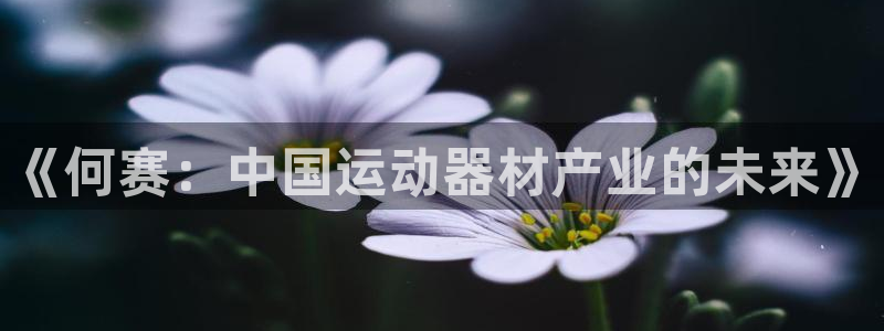德国凯捷体育集团