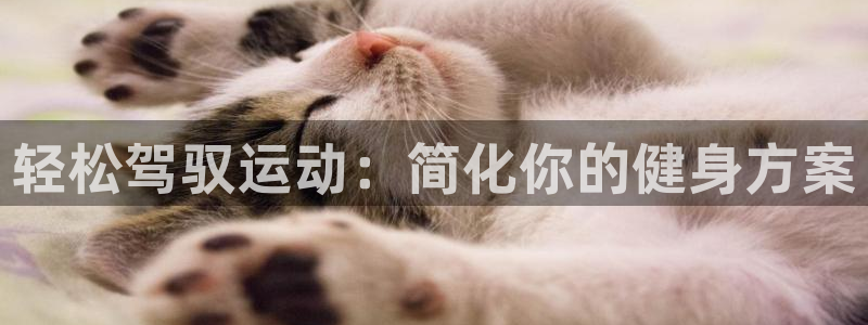凯捷体育新能源：轻松驾驭运动：简化你的健身方案