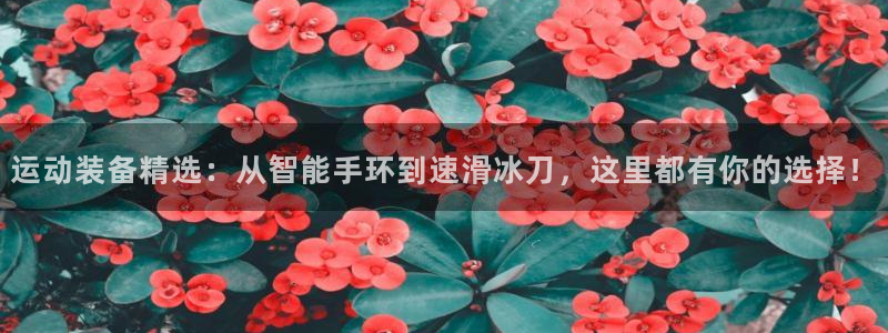 凯捷体育招商电话是多少：运动装备精选：从智能手环到速滑冰刀，